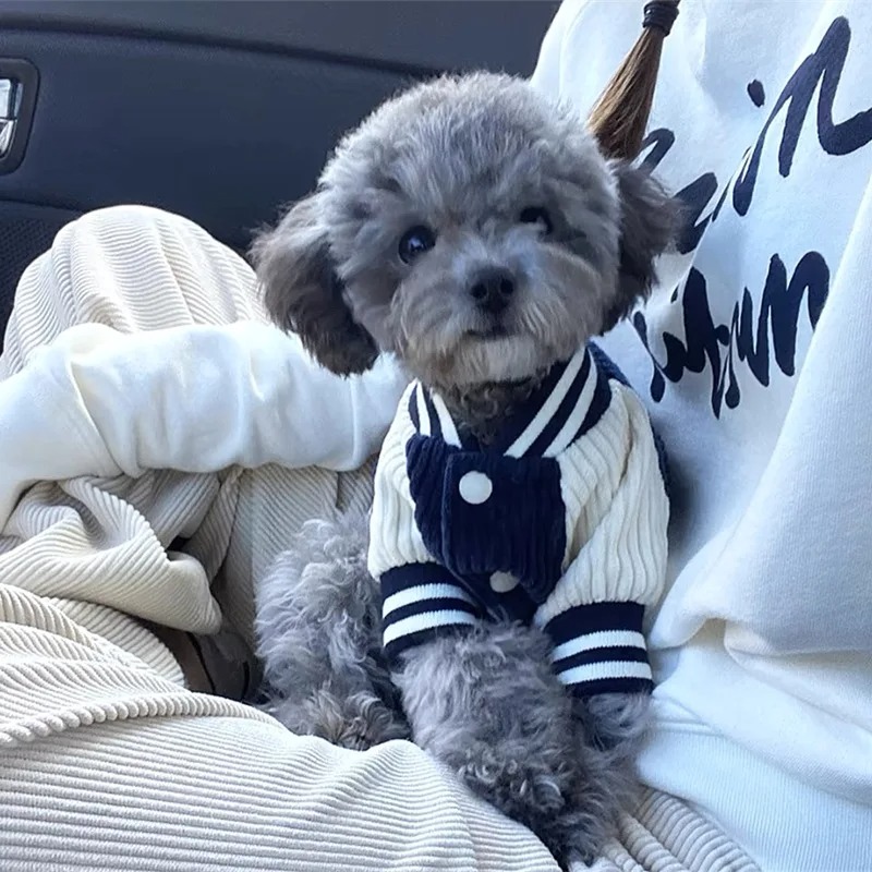 Winter Clothing Baby - Costume for Dog Clothes Chihuahua Jeans