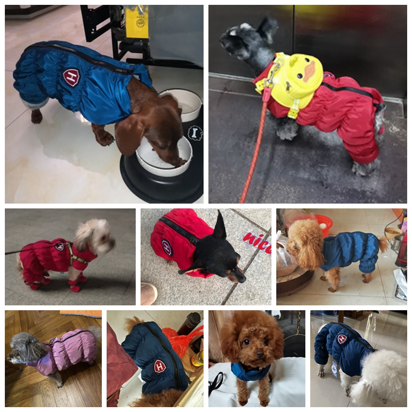 Zipper Snow Unisex Dog Waterpr - مراجعة Winter Clothing Baby وسعره