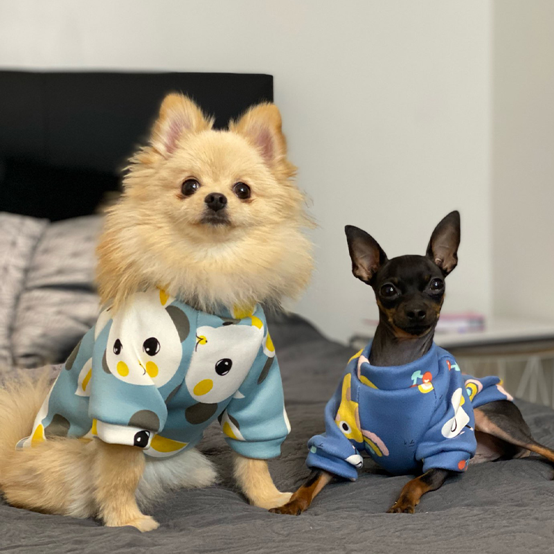 Xs Dog Clothes for Small Dogs  - مراجعة Winter Clothing Kids وسعره
