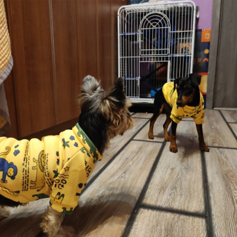 Xs Dog Clothes for Small Dogs  - مراجعة Winter Clothing Kids وسعره