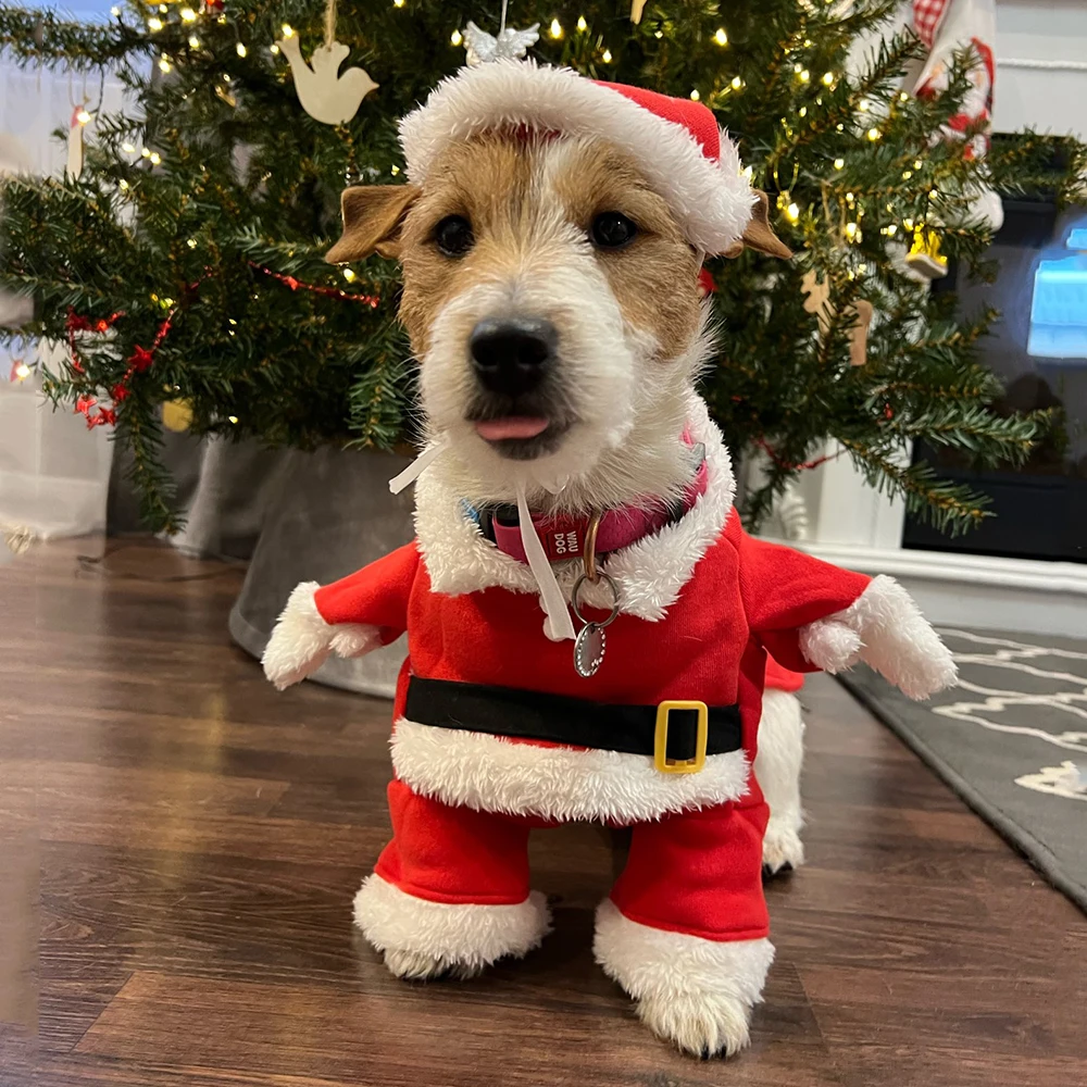 Christmas Clothes For Dogs Cat - مراجعة Winter Clothing Dress Up وسعره