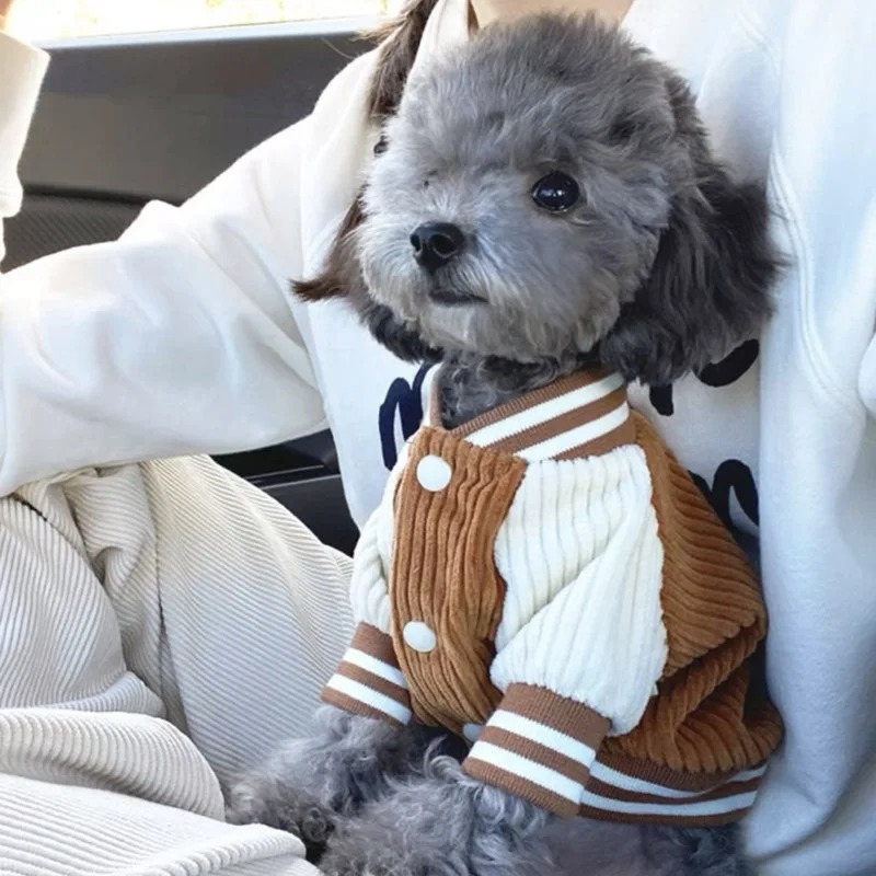 Costume for Dog Clothes Chihua - مراجعة Winter Clothing Baby وسعره