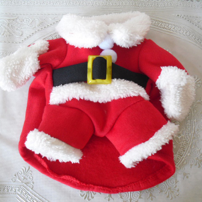 Winter Pet Dog Jacket Coat For - مراجعة Winter Clothing Dress Up وسعره