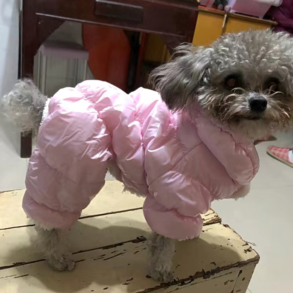 Winter Male Boy Dog Clothes wi - مراجعة Winter Clothing Kids وسعره