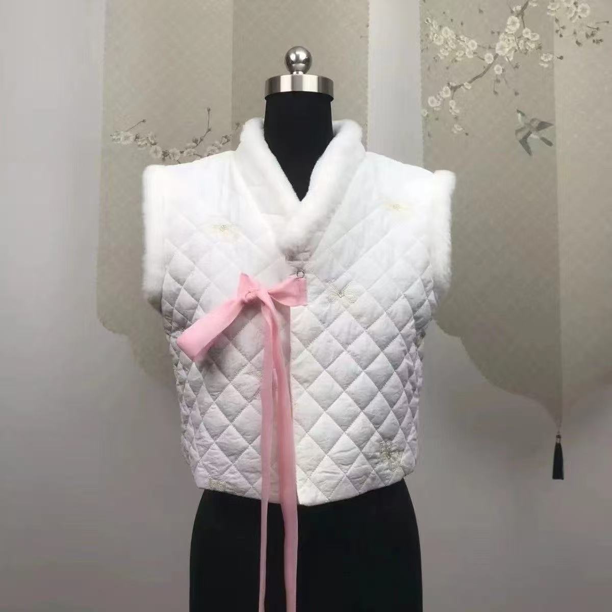 Winter Hanbok Vest Women's Tra - مراجعة Winter Clothing Looks وسعره