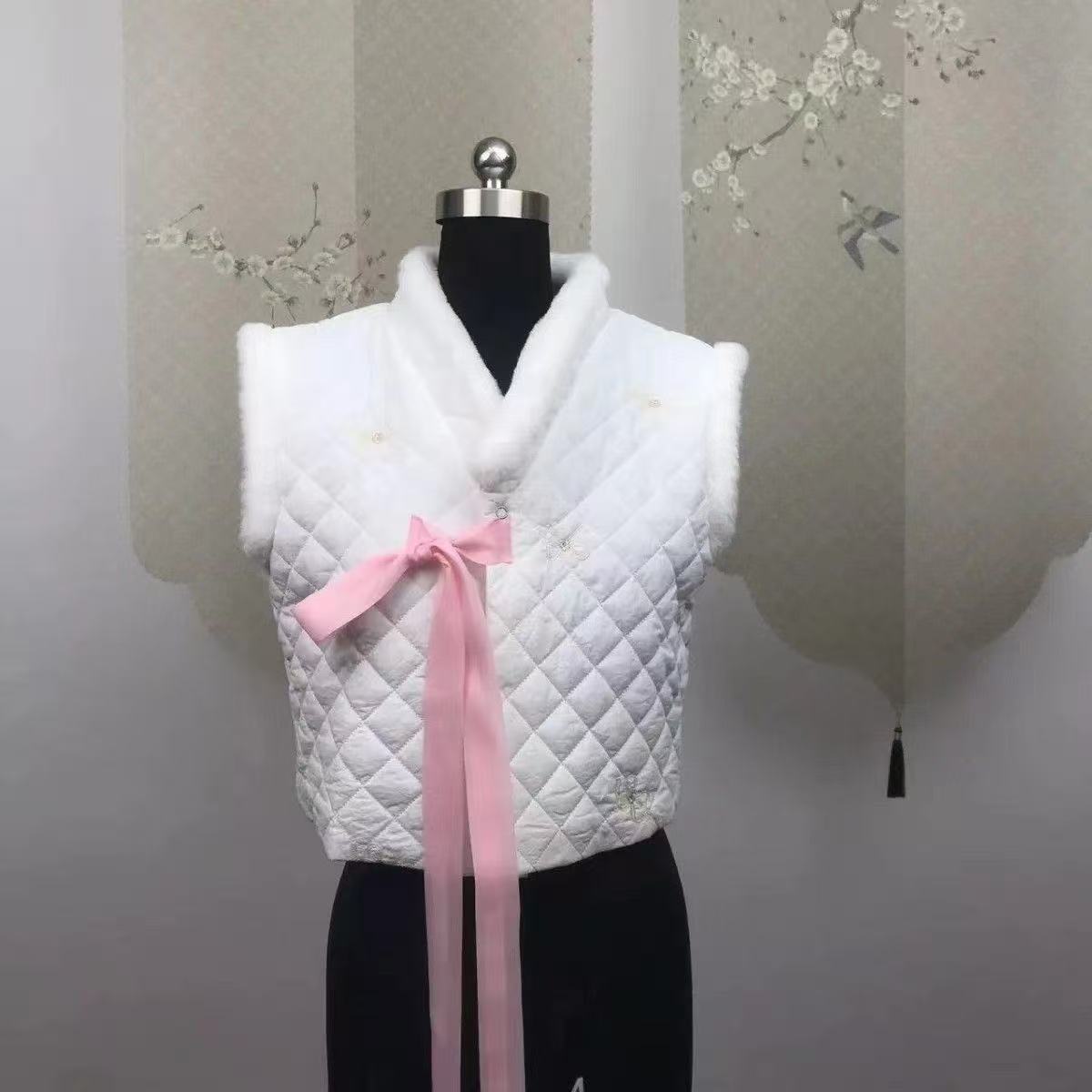 Winter Hanbok Vest Women's Tra - مراجعة Winter Clothing Looks وسعره